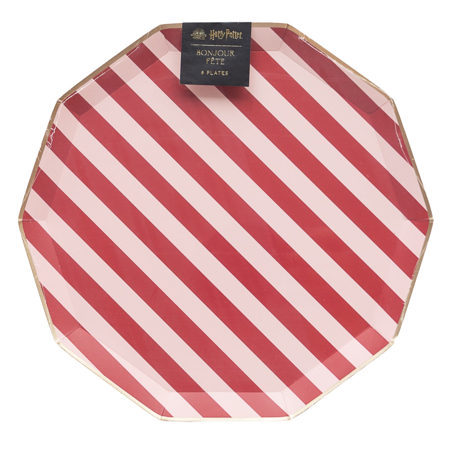 Harry Potter X Bonjour Fete House Pride Large Plates