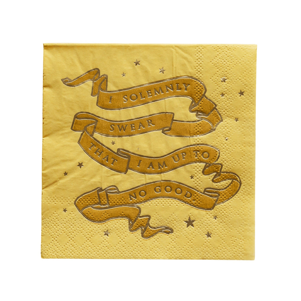 Harry Potter X Bonjour Fete House Pride Small Party Napkins
