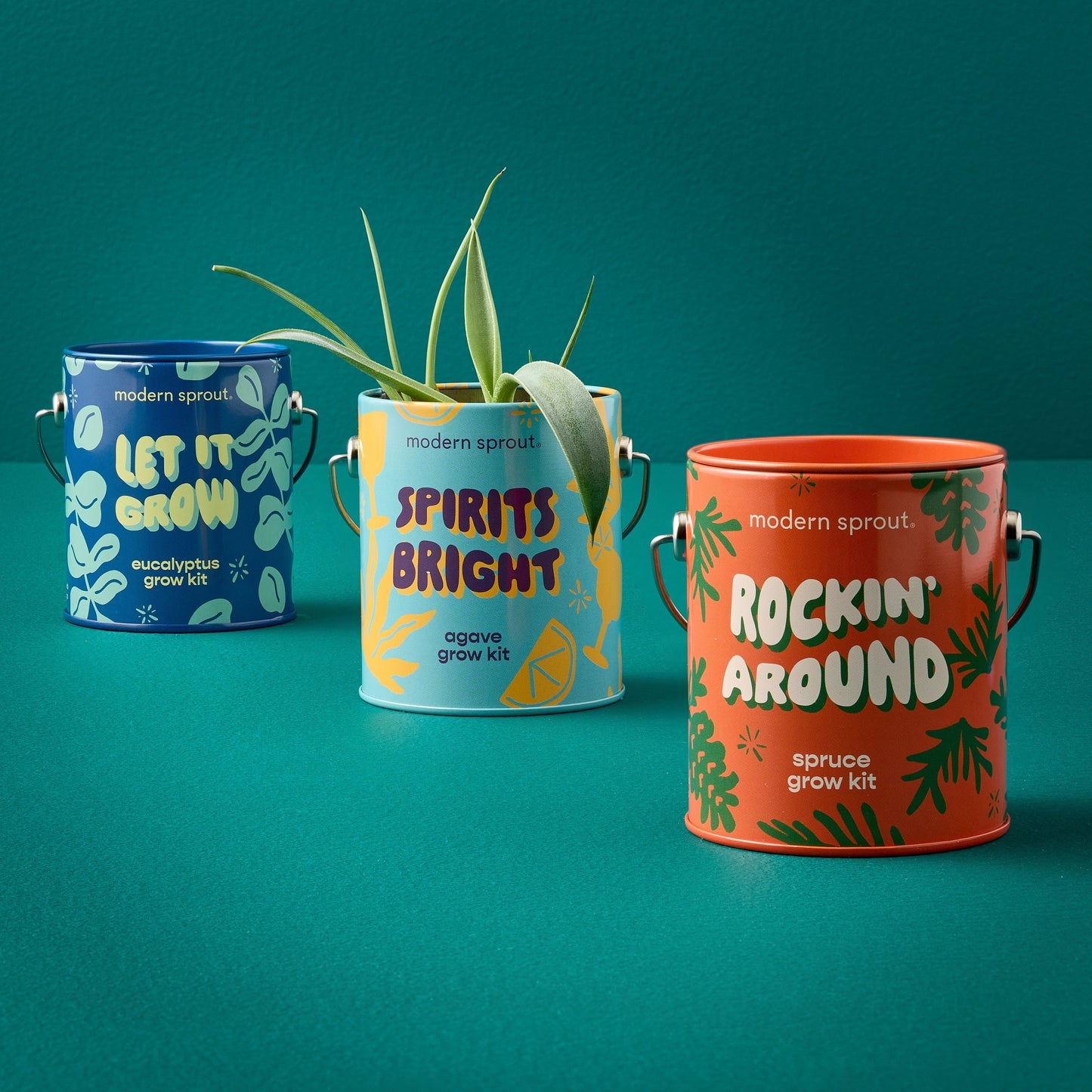 Complimentary Colors Grow Kit