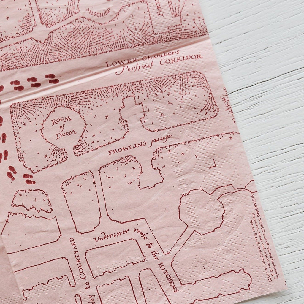 Harry Potter X Bonjour Fete House Pride Small Party Napkins