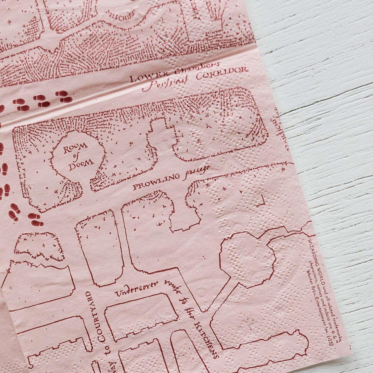 Harry Potter X Bonjour Fete House Pride Small Party Napkins