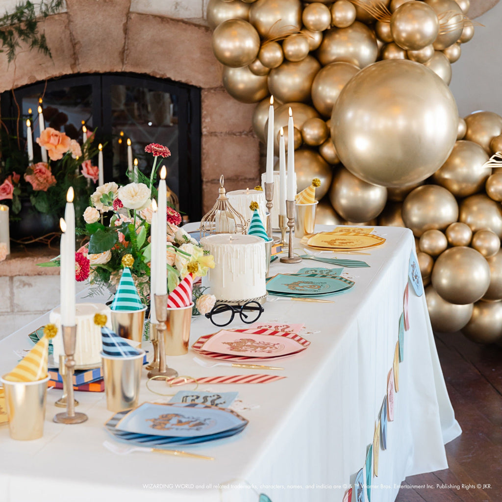 Harry Potter X Bonjour Fete House Pride Party Hats