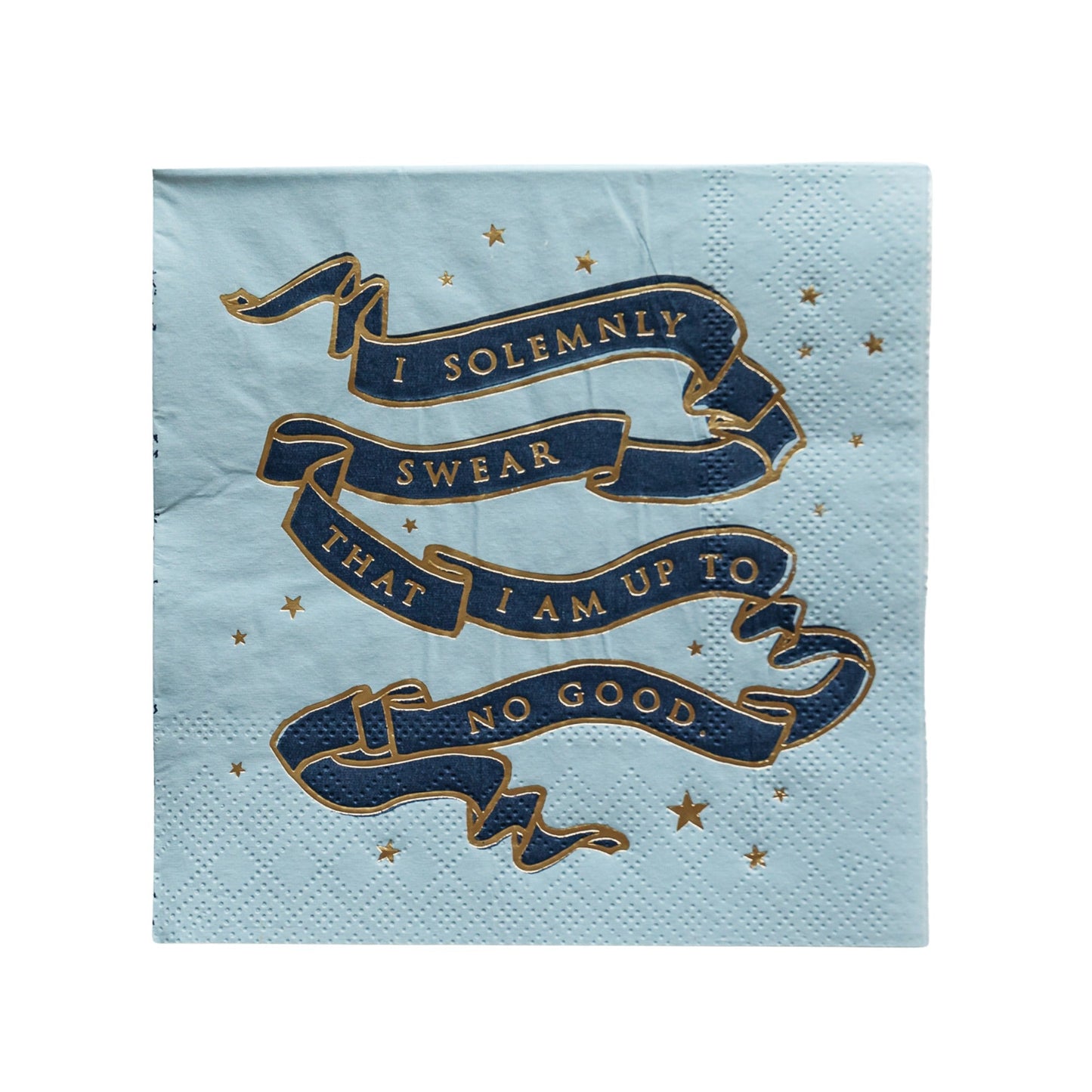 Harry Potter X Bonjour Fete House Pride Small Party Napkins