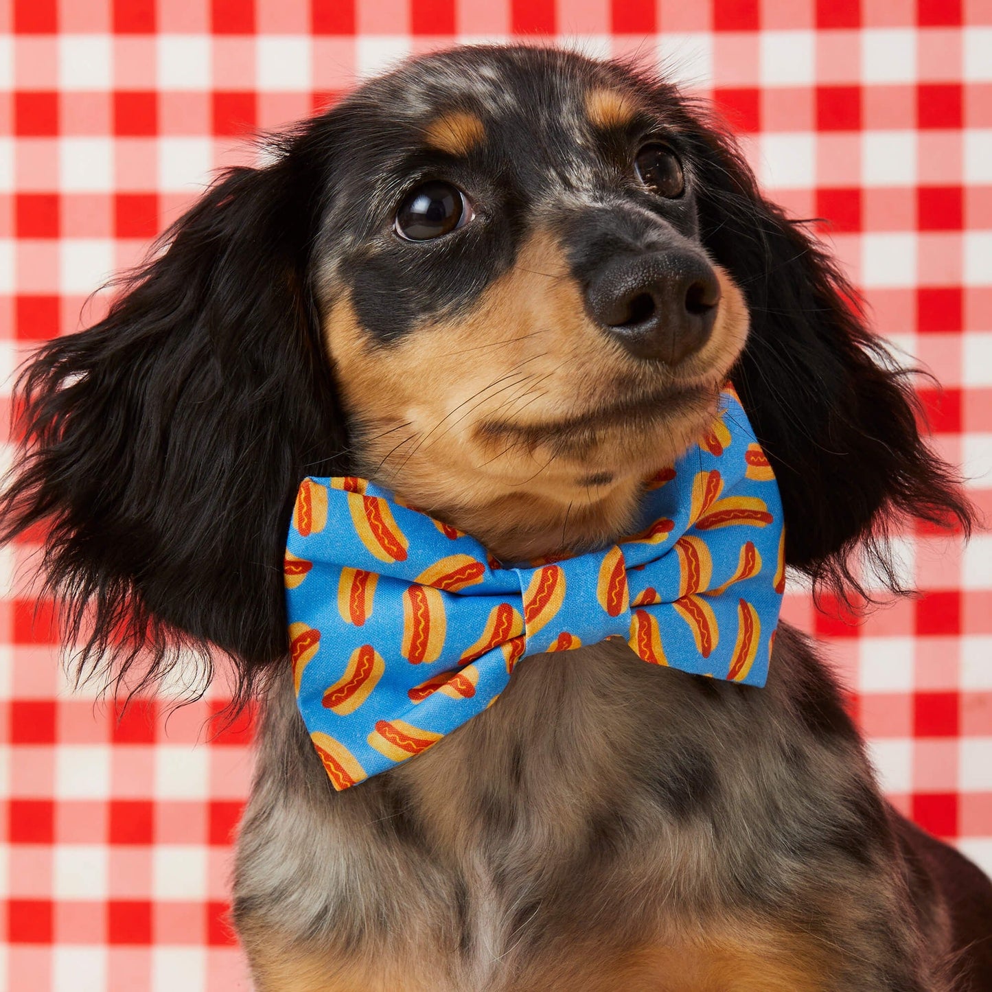 Hot Diggity Dog Bow Tie
