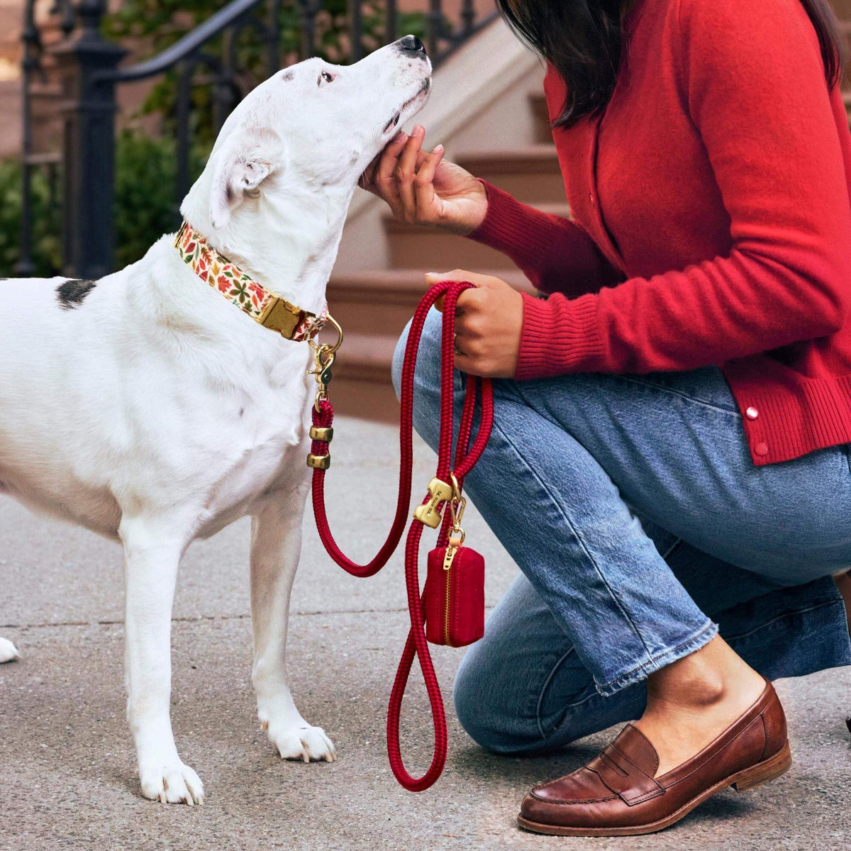 Falling Leaves Collar Walk Set