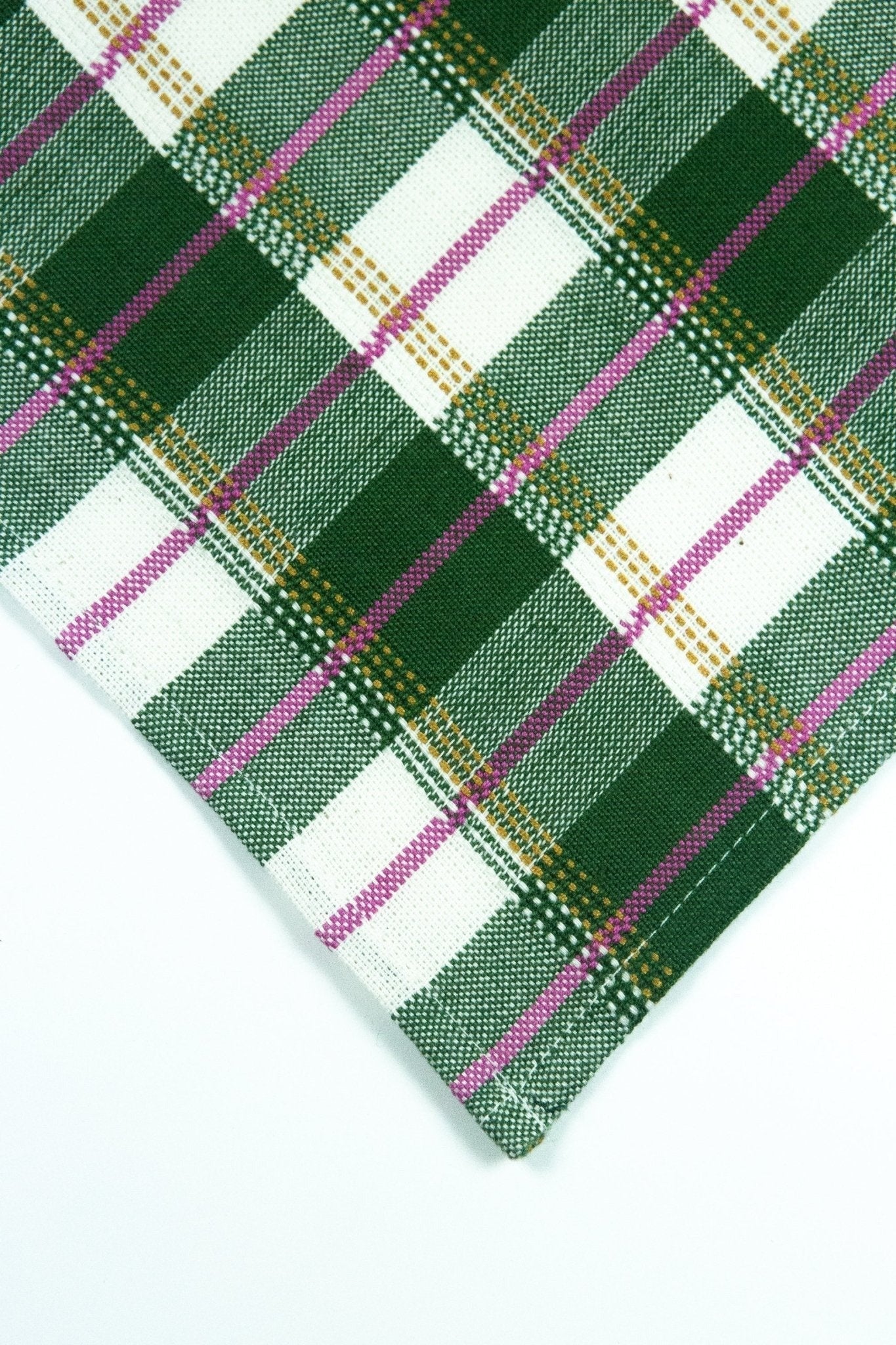 San Andres Gingham Forest & White Placemat