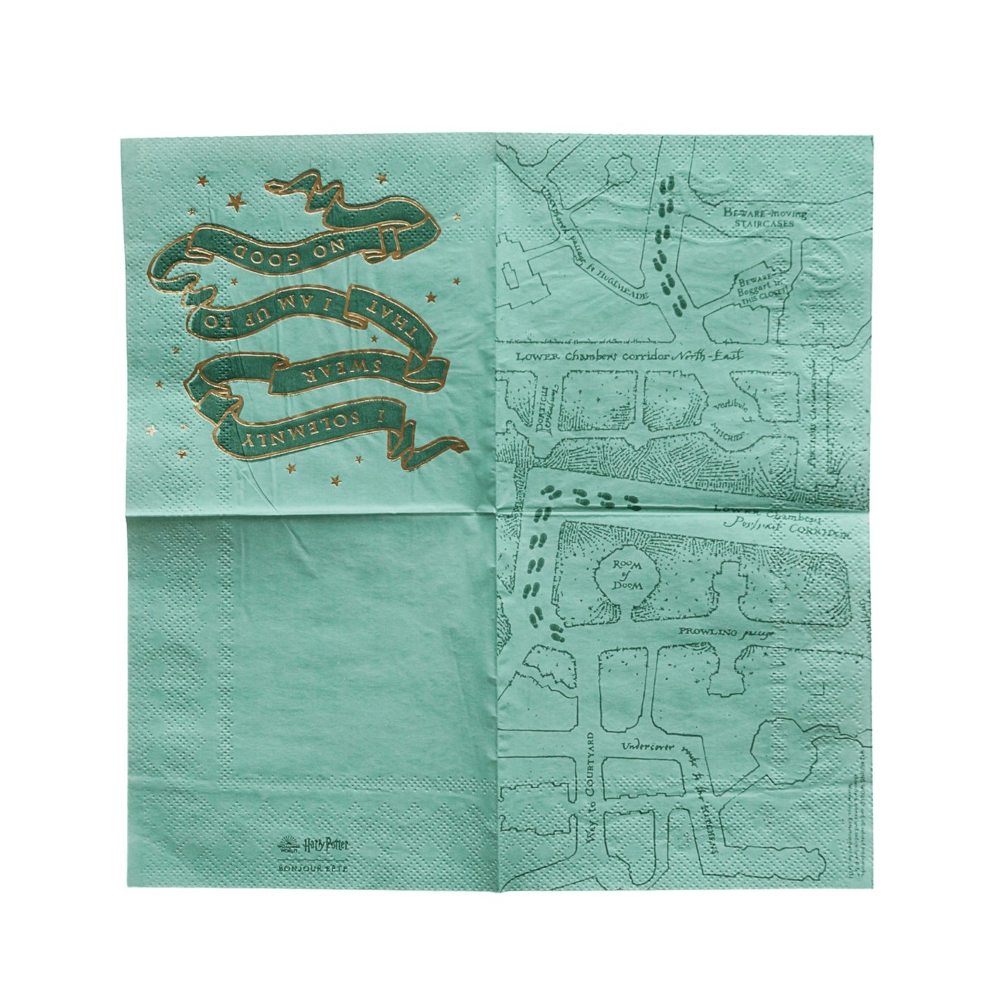 Harry Potter X Bonjour Fete House Pride Small Party Napkins