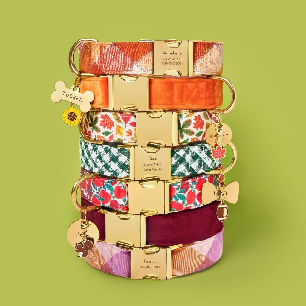 Falling Leaves Dog Collar