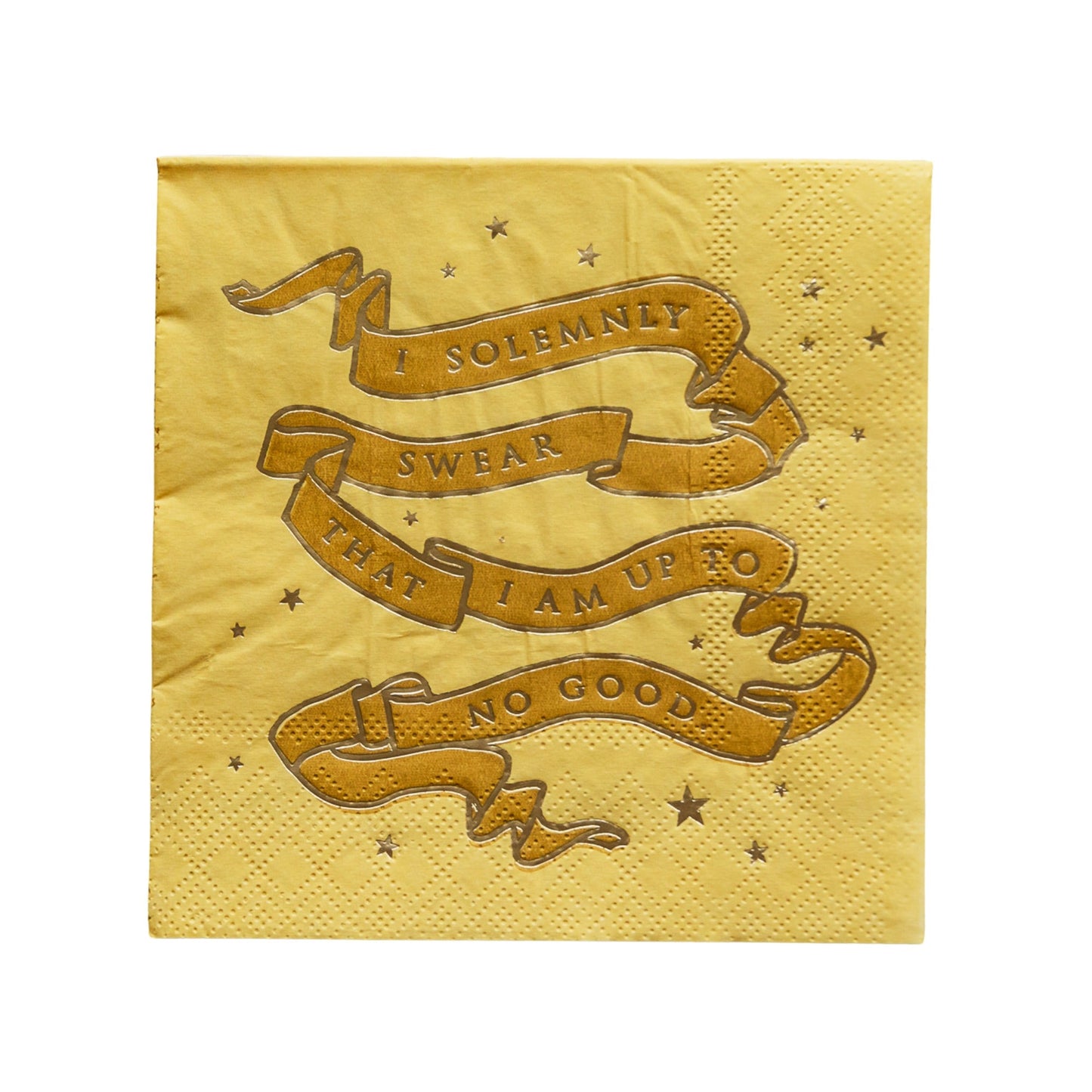 Harry Potter X Bonjour Fete House Pride Small Party Napkins