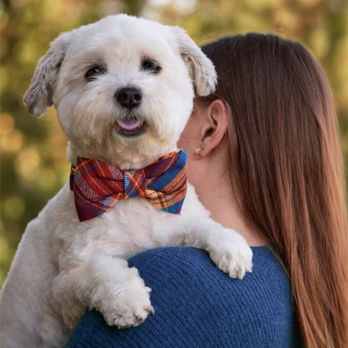 Marlow Plaid Flannel Dog Bow Tie