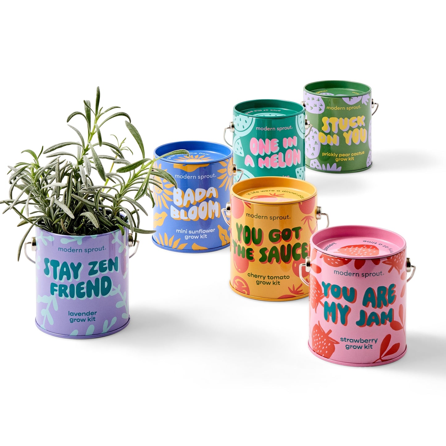 Complimentary Colors Grow Kit