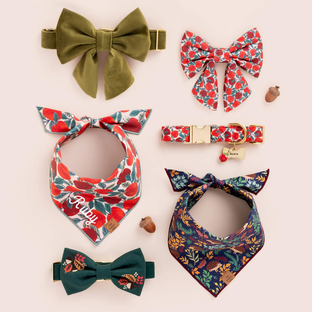 Fall Foliage Embroidered Bow Tie Collar