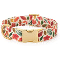 Falling Leaves Dog Collar