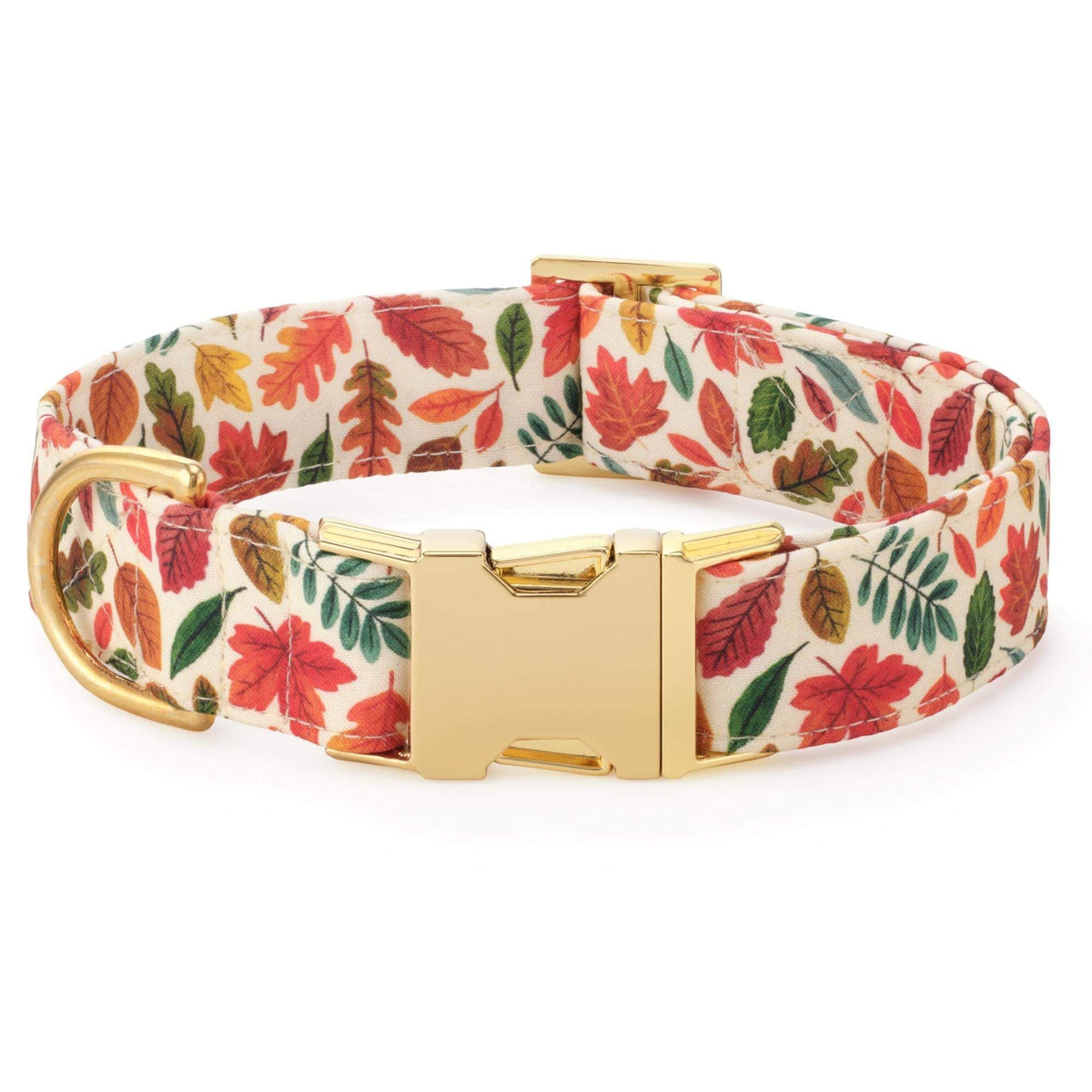 Falling Leaves Dog Collar