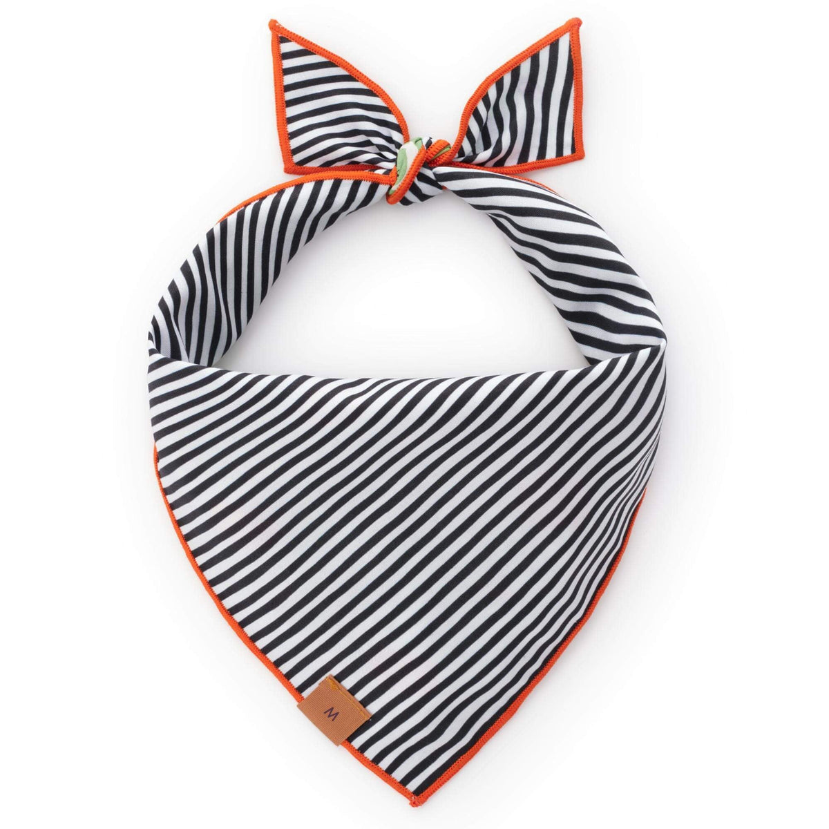 Spellbound Reversible Dog Bandana