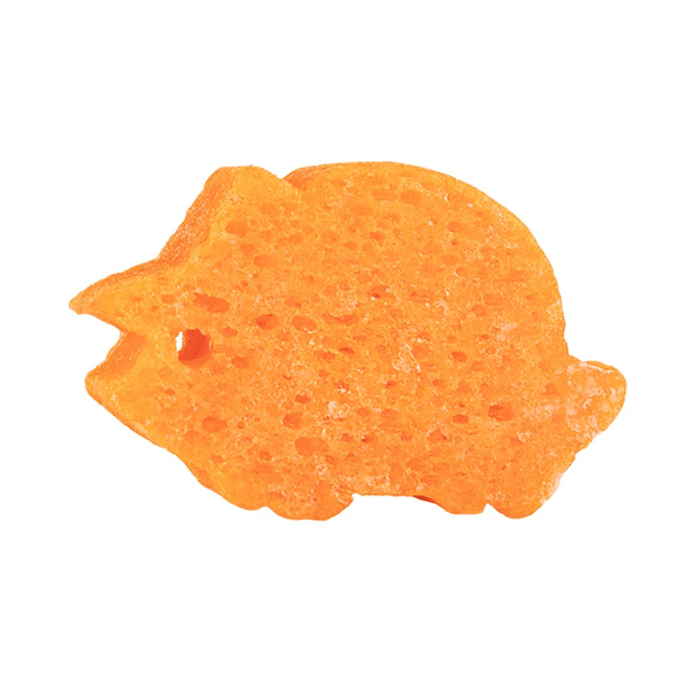 Tina Triceratops Shower Buffer Sponge