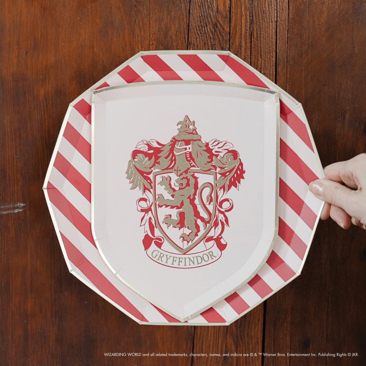 Harry Potter X Bonjour Fete House Pride Small Plates