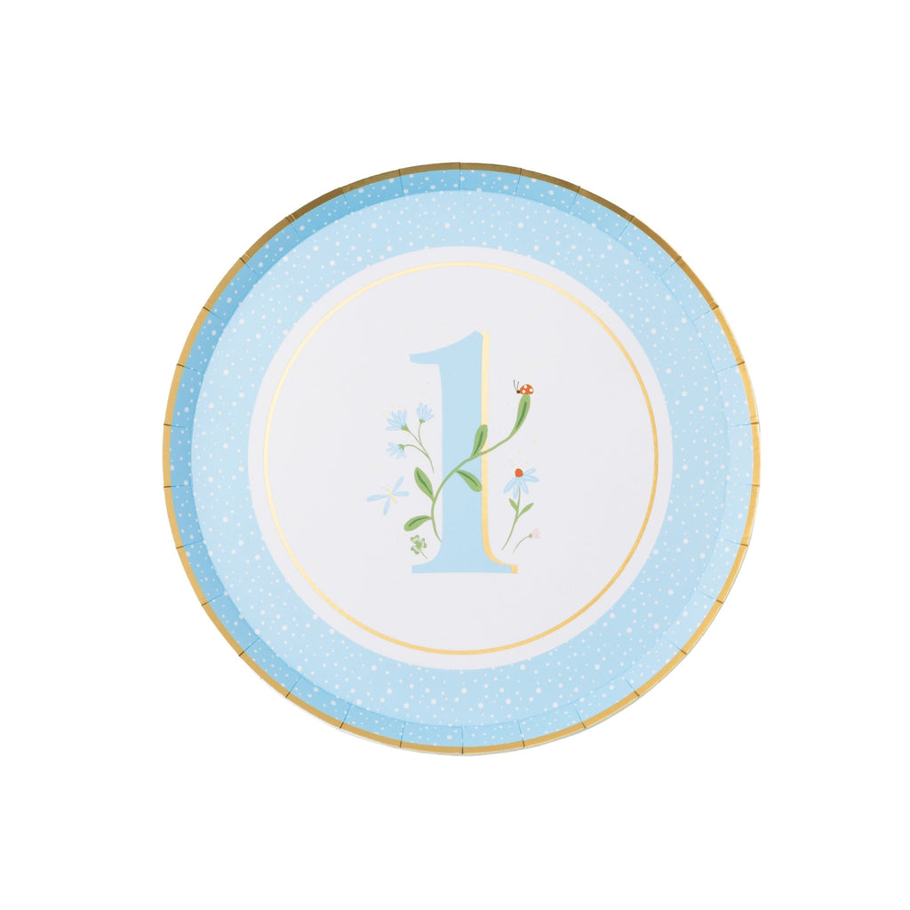 1st Birthday Sky Blue Small Plates